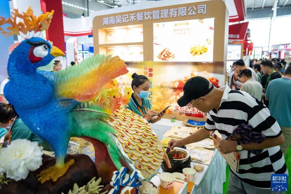 龙和虎软件